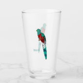 Resplendent quetzal-vogel cartoon illustratie glas (Voorkant)
