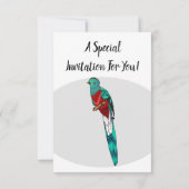 Resplendent quetzal-vogel cartoon illustratie kaart (Achterkant)