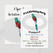 Resplendent quetzal-vogel cartoon illustratie kaart (Voorkant / Achterkant)