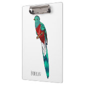 Resplendent quetzal-vogel cartoon illustratie klembord (Links)