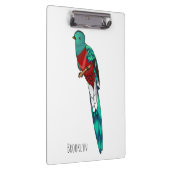 Resplendent quetzal-vogel cartoon illustratie klembord (Rechts)