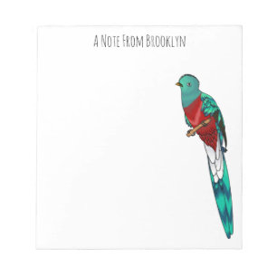 Resplendent quetzal-vogel cartoon illustratie notitieblok