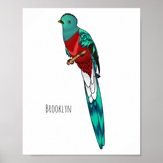 Resplendent quetzal-vogel cartoon illustratie poster (Voorkant)