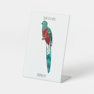 Resplendent quetzal-vogel cartoon illustratie reclamebord met voetstuk