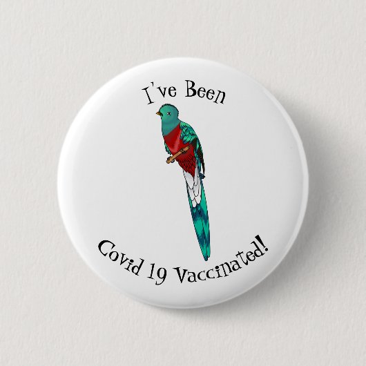 Resplendent quetzal-vogel cartoon illustratie ronde button 5,7 cm (Voorkant)