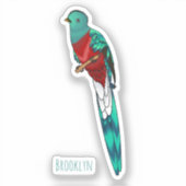 Resplendent quetzal-vogel cartoon illustratie sticker (Voorkant)