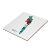 Resplendent quetzal-vogel cartoon illustratie tegeltje (Zijkant)