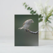 Resrow 1 briefkaart (Staand voorkant)