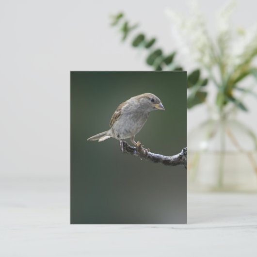 Resrow 1 briefkaart (Staand voorkant)