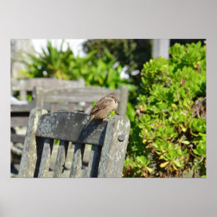 Resrow op een tuinstoel poster