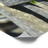 Resrow op een tuinstoel poster (Hoek)