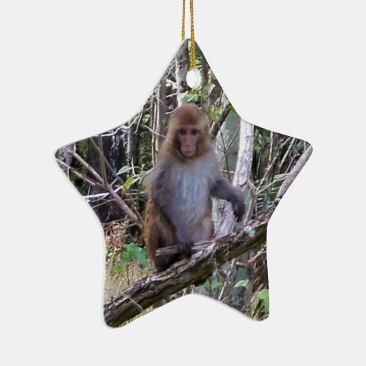 ressus macaque monkey keramisch ornament (Rechts)
