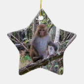 ressus macaque monkey keramisch ornament (Voorkant)