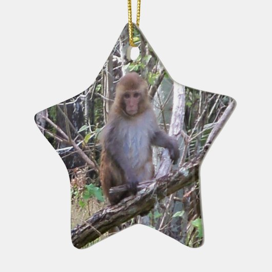 ressus macaque monkey keramisch ornament (Links)