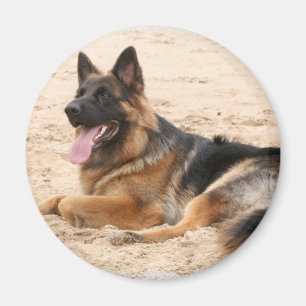 Rest German Shepherd Dog Magnet