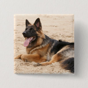 Rest German Shepherd Dog Square Pin Vierkante Button 5,1 Cm