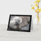 Rest in de Lord Young Swan Kaart (Gele Bloem)