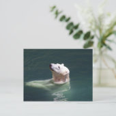 Rest polair beer briefkaart (Staand voorkant)