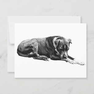 Rest Pose Dog Briefkaart
