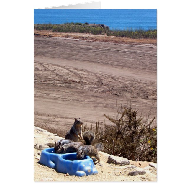 Rest Stop - Card (Voorkant)