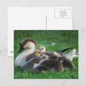 Resten Briefkaart (Voorkant / Achterkant)