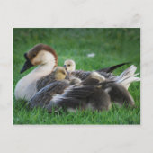 Resten Briefkaart (Voorkant)