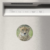 Resten in gras magneet (Insitu (Vaatwasser))