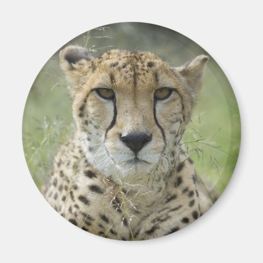 Resten in gras magneet (Voorkant)