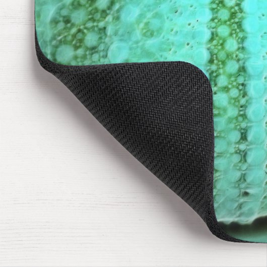 resten muismat (Hoek)