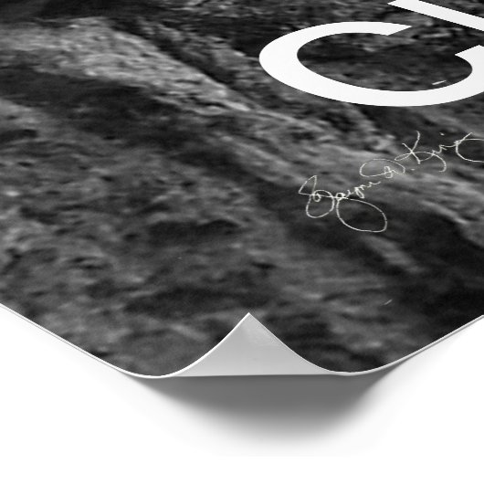 Resten op Rattlesnake: Poster (Hoek)