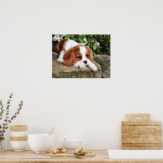 Resten Poster (Keuken)