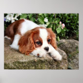 Resten Poster (Voorkant)