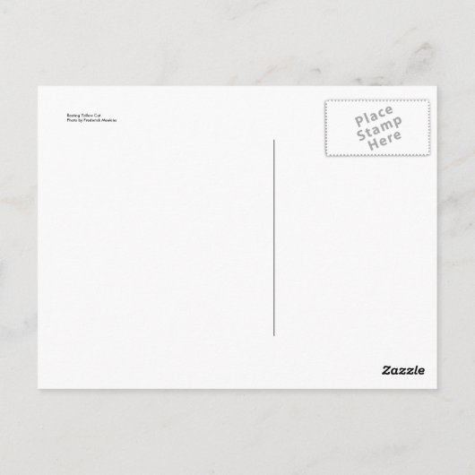 Resten van gele kat briefkaart (Achterkant)