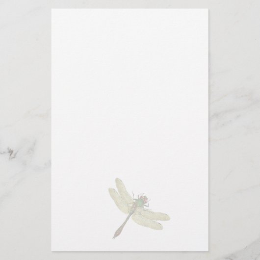 Resten van vliegers en libellen briefpapier (Achterkant)