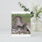 Restend Zebra Briefkaart (Staand voorkant)