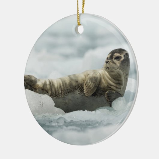 Restende Baby zegel Keramisch Ornament (Links)