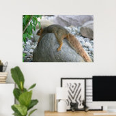 Restende eekhoorn op een hete dag poster (Thuiskantoor)