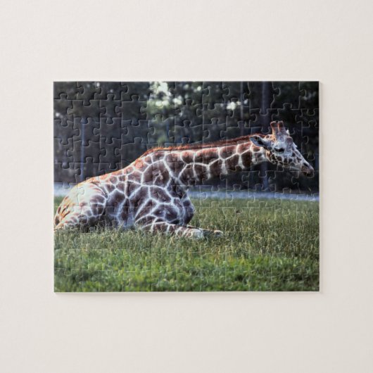 Restende Giraffe Legpuzzel (Horizontaal)