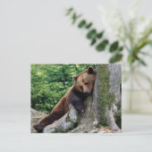 Restful Brown Beer Wildlife Series # 10 Briefkaart (Staand voorkant)