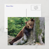 Restful Brown Beer Wildlife Series # 10 Briefkaart (Voorkant / Achterkant)