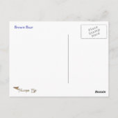 Restful Brown Beer Wildlife Series # 10 Briefkaart (Achterkant)
