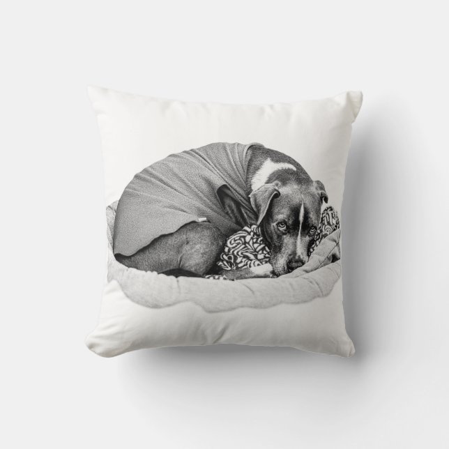 Restful Soul in de stilte van het seizoen Kussen (Voorkant)