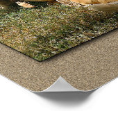 Restin' at Noon Poster (Hoek)