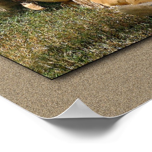 Restin' at Noon Poster (Hoek)