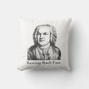 Resting Bach Face Classical Music Composer Kussen