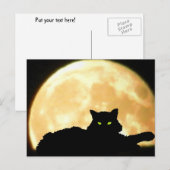 Resting Black Cat and Full Moon Briefkaart (Voorkant / Achterkant)