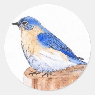 Resting Bluebird Ronde Sticker