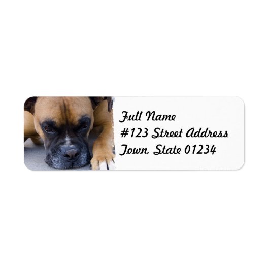 Resting Boxer Dog Mailing Label (Voorkant)
