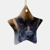 Resting Boxer Dog Ornament (Rechts)