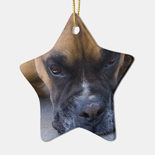 Resting Boxer Dog Ornament (Links)